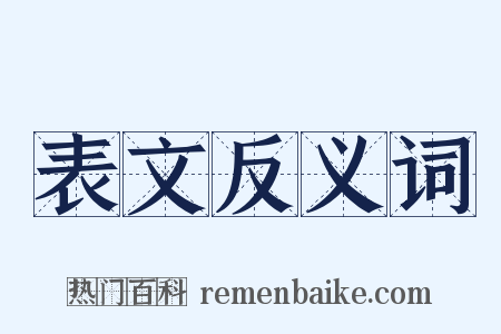表文反义词是什么意思的图片
